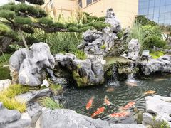 -贵阳高新惠诚食品有限公司