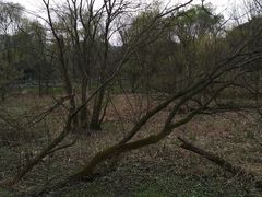 -西湖风景区-江洋畈生态公园