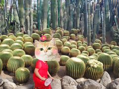 -南山植物园