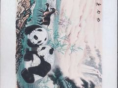 -都江堰中华大熊猫苑