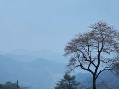-礼耕堂·百年茶人餐厅(梅家坞店)