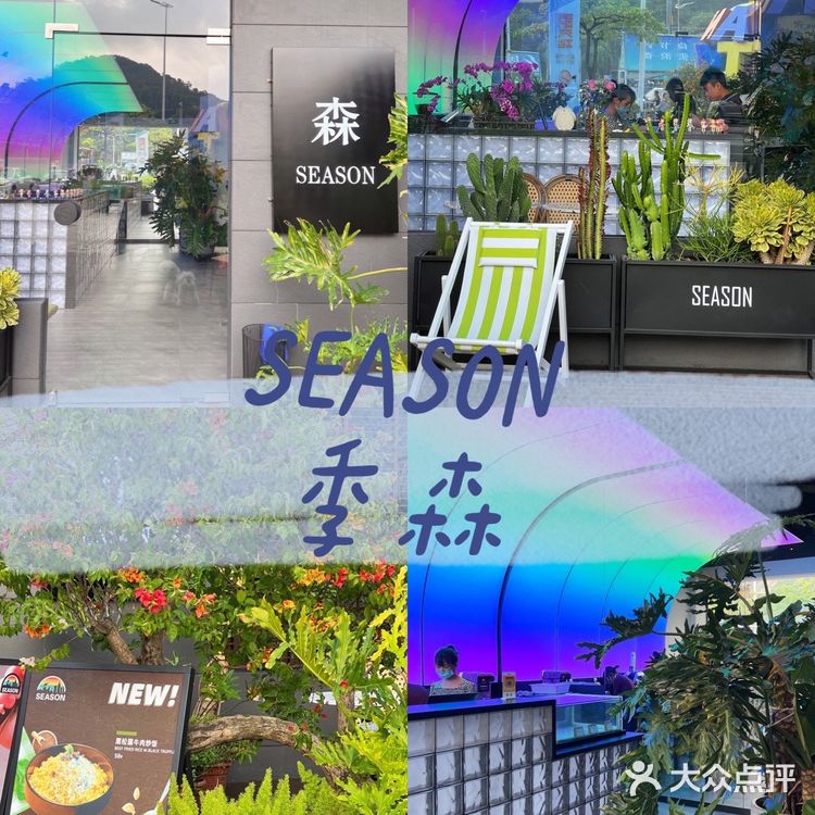 东莞宠物友好店|带着狗狗在森林里下午茶