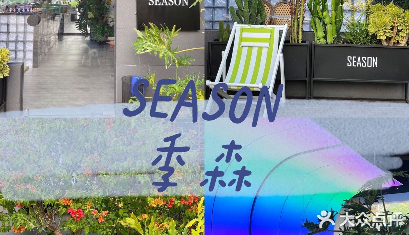 东莞宠物友好店|带着狗狗在森林里下午茶