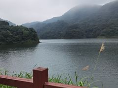 -广州市石门国家森林公园