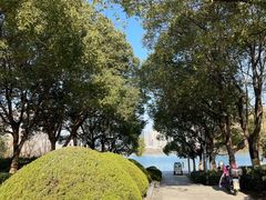 -天鹅湖体育公园
