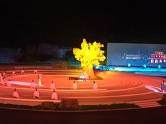 -鼎盛王朝康熙大典实景演出