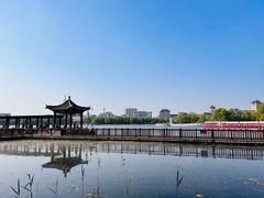 -莲花池公园