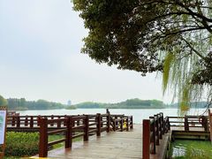 -苏州太湖国家湿地公园