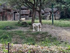 -杭州野生动物世界