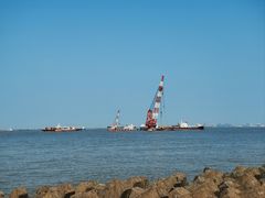 -上海滨江森林公园