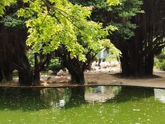 -九龙公园