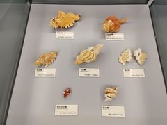 -天津古林古海岸遗迹博物馆