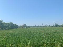 -嘉北郊野公园