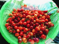 -东方鼎信农副产品交易中心