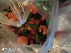 -乐乐鲜果(解放南路店)