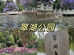 -翠湖公园