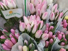 -循礼门鲜花花市(武汉循礼门店)