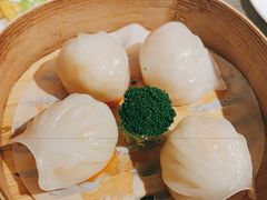 凱逸轩虾饺皇-凯逸轩·匠心粤菜(中城名仕汇店)