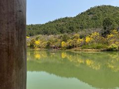 -广州白江湖森林公园