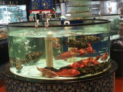 -尚海豆捞(乐虹坊店)