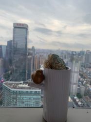 -久匠·纹眉半永久野生眉