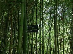 -南诏风情岛