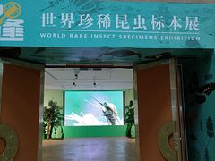 -烟台市博物馆