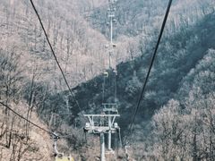 -栾川竹海野生动物园