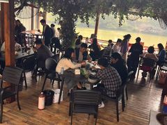 -张鸟园农家乐(张鸟园店)