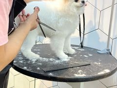 -萌兽医馆·眼科·异宠专科(三里屯店)