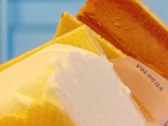 -沃洛格达(万象城n次方店)