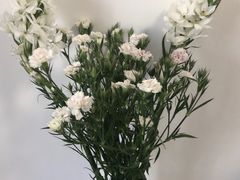 -T11生鲜超市(朝阳公园店)