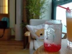 -柴犬小屋·柴餐厅·狗咖食堂(金鼎广场店)