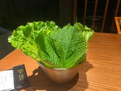 -春熙台韩国料理·章鱼肥牛(西丽店)