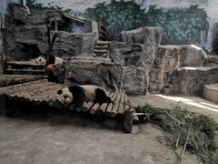 -鄂尔多斯野生动物园