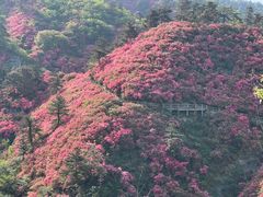 -木兰云雾山