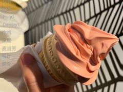 红豆双皮奶风味圆筒-麦当劳(四川北路店)