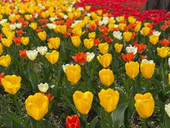 -国家植物园南园