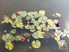 景点-济南国际园博园