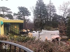 -三鹰之森吉卜力美术馆