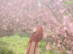 -昆山城市生态森林公园