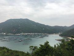 -南丫岛