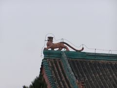 -茂陵博物馆
