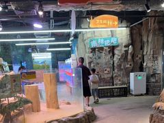 -正佳雨林生态植物园