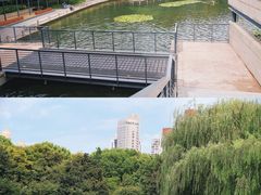 -徐家汇天主堂