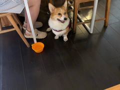 -Egg•Allday Brunch(襄阳北路店)