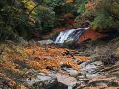 -光雾山旅游景区