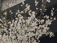 -南浦大桥长途旅游客运站
