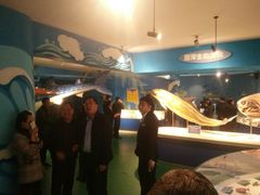 景点-烟台海昌鲸鲨海洋公园