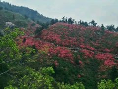 -木兰云雾山